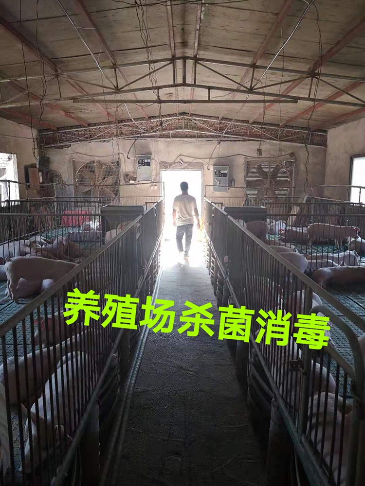養殖場(chǎng)殺菌消毒